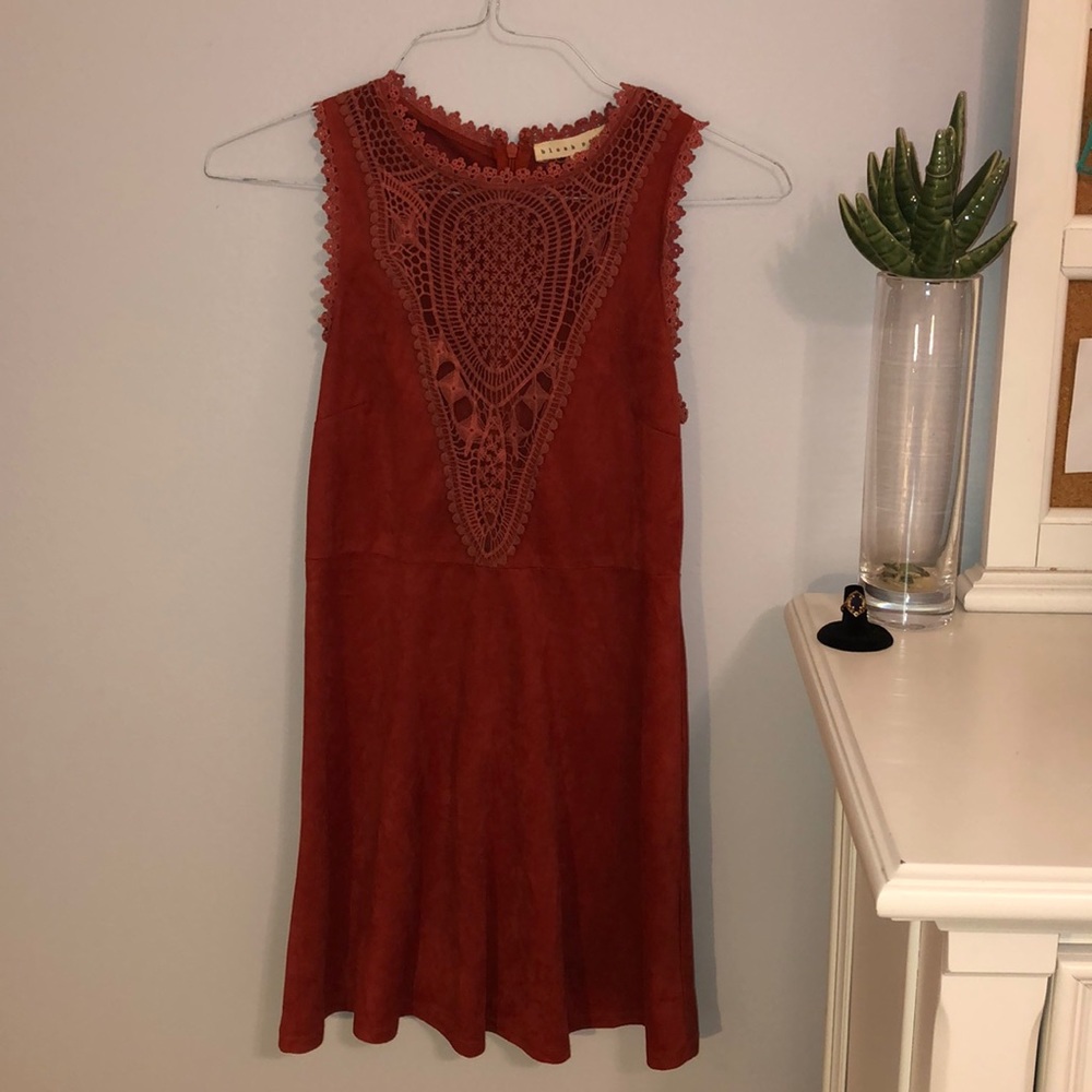 Beautiful Mesh Suede Dress